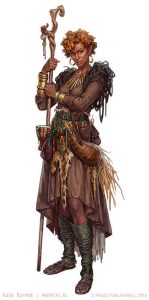 Druid Dungeons and Dragons class