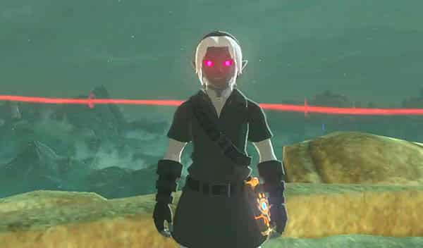 supporting legend of zelda characters - dark link