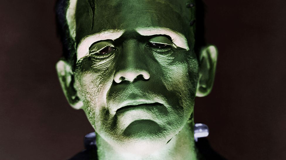 Mary Shelley's Frankenstein stands as a seminal work in the horror genre